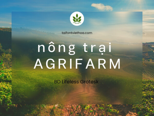 Font việt hóa Bd Lifeless Grotesk Font Tiếng Việt