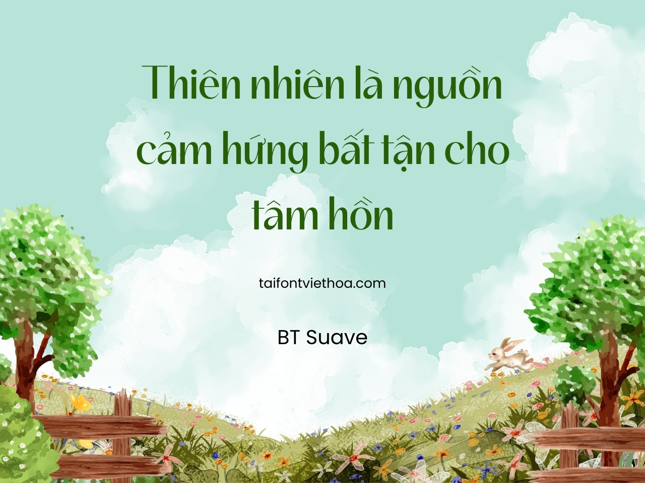 Font việt hóa Bt Suave đầy đủ Font Tiếng Việt