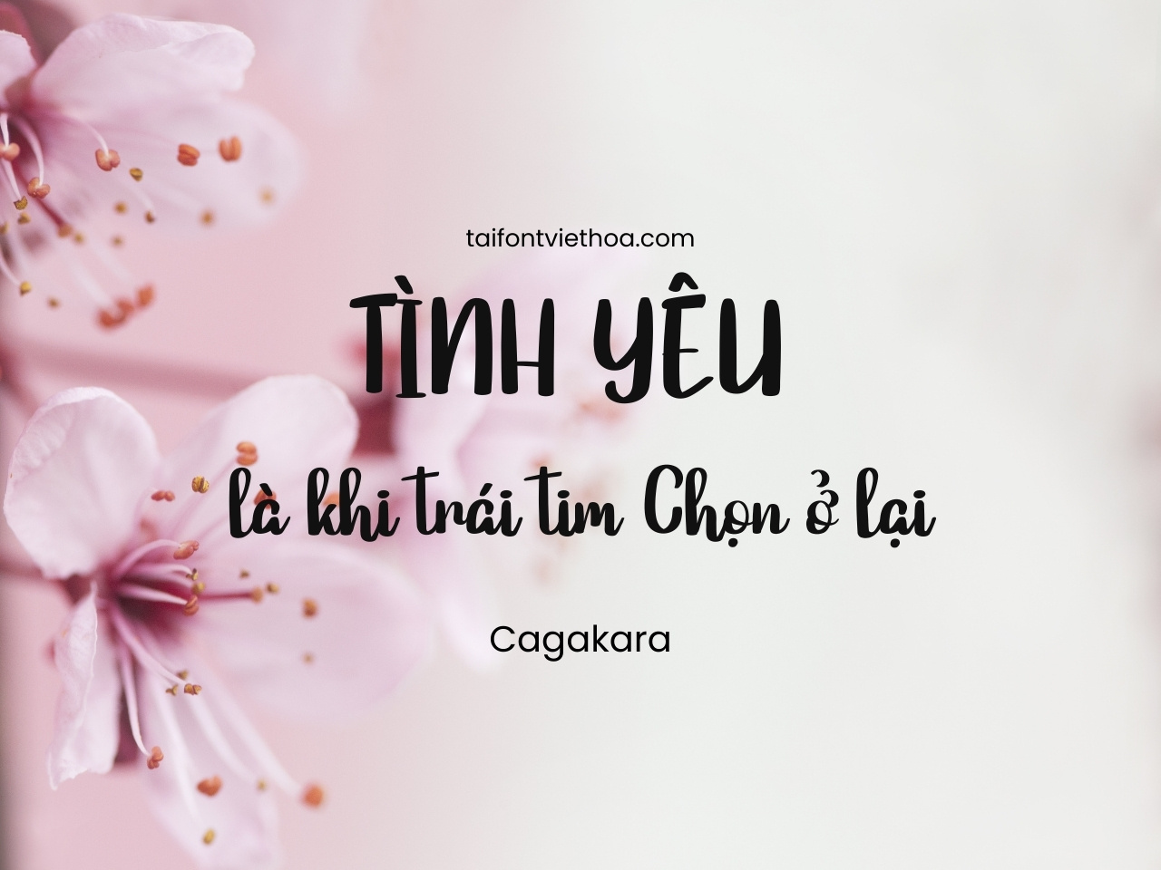 Font việt hóa Cagakara