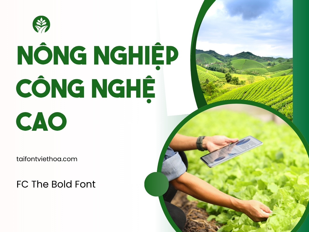 Font việt hóa FC The Bold Font