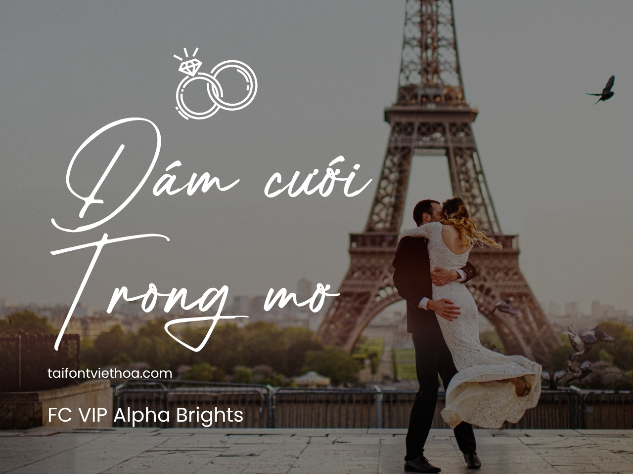 Font việt hóa FC VIP Alpha Brights font thư pháp