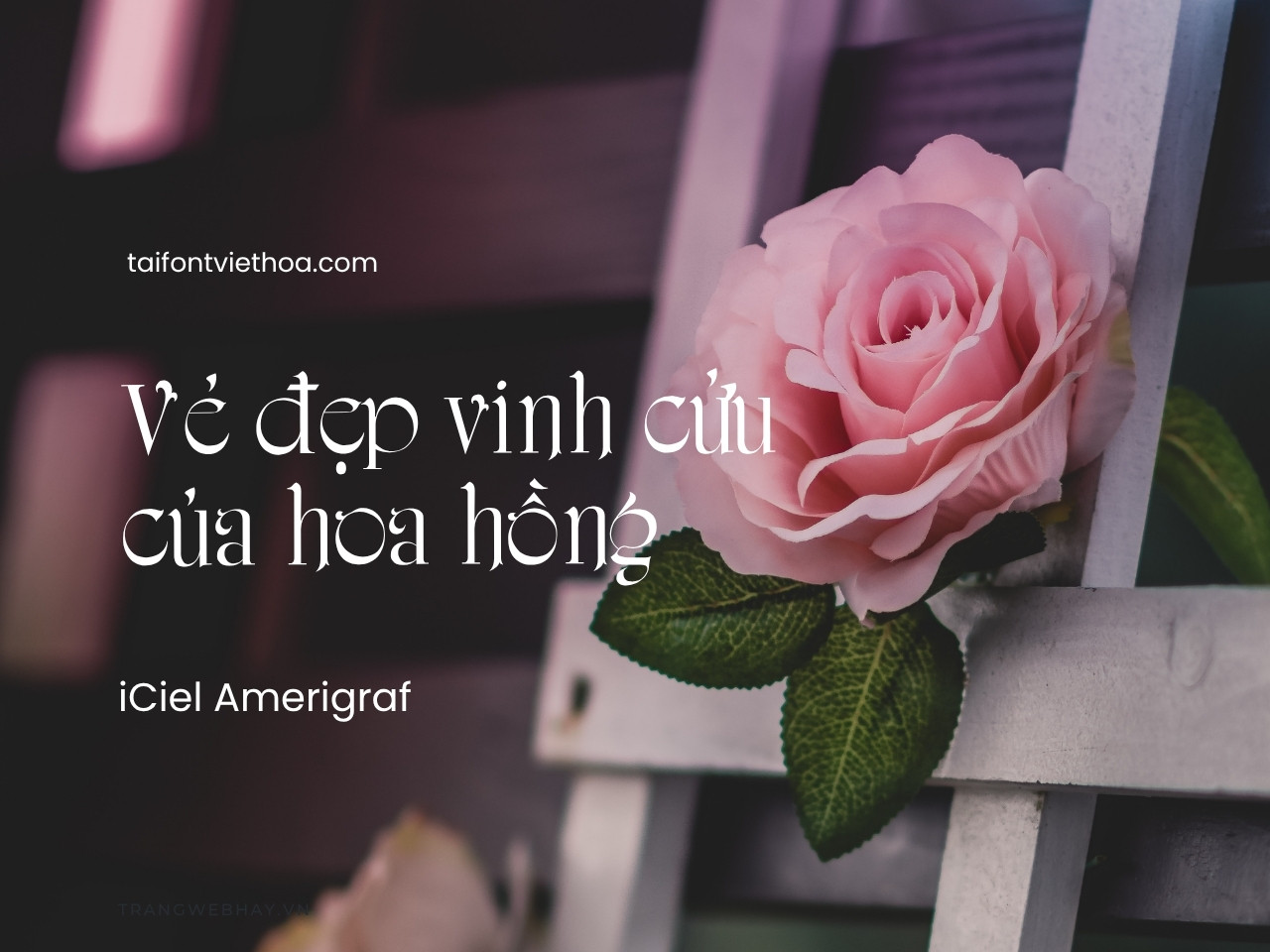 Font việt hóa iCiel Amerigraf