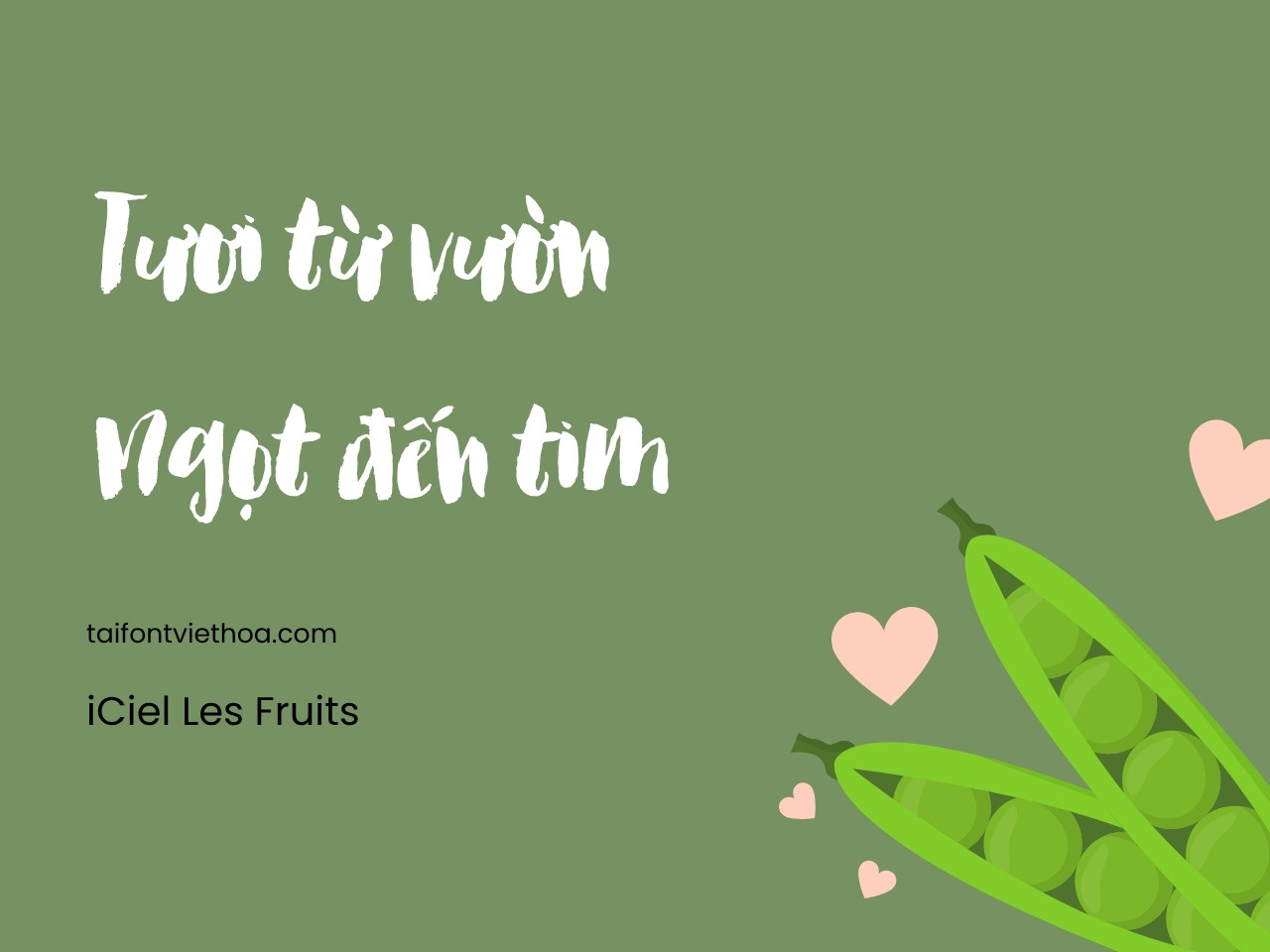Giới thiệu về font iCiel Les Fruits – Nghệ thuật viết tay ngọt ngào, tự nhiên và tươi mới