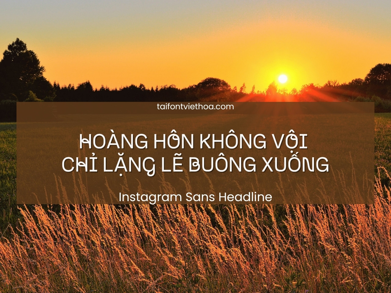 Giới thiệu về font Instagram Sans UI