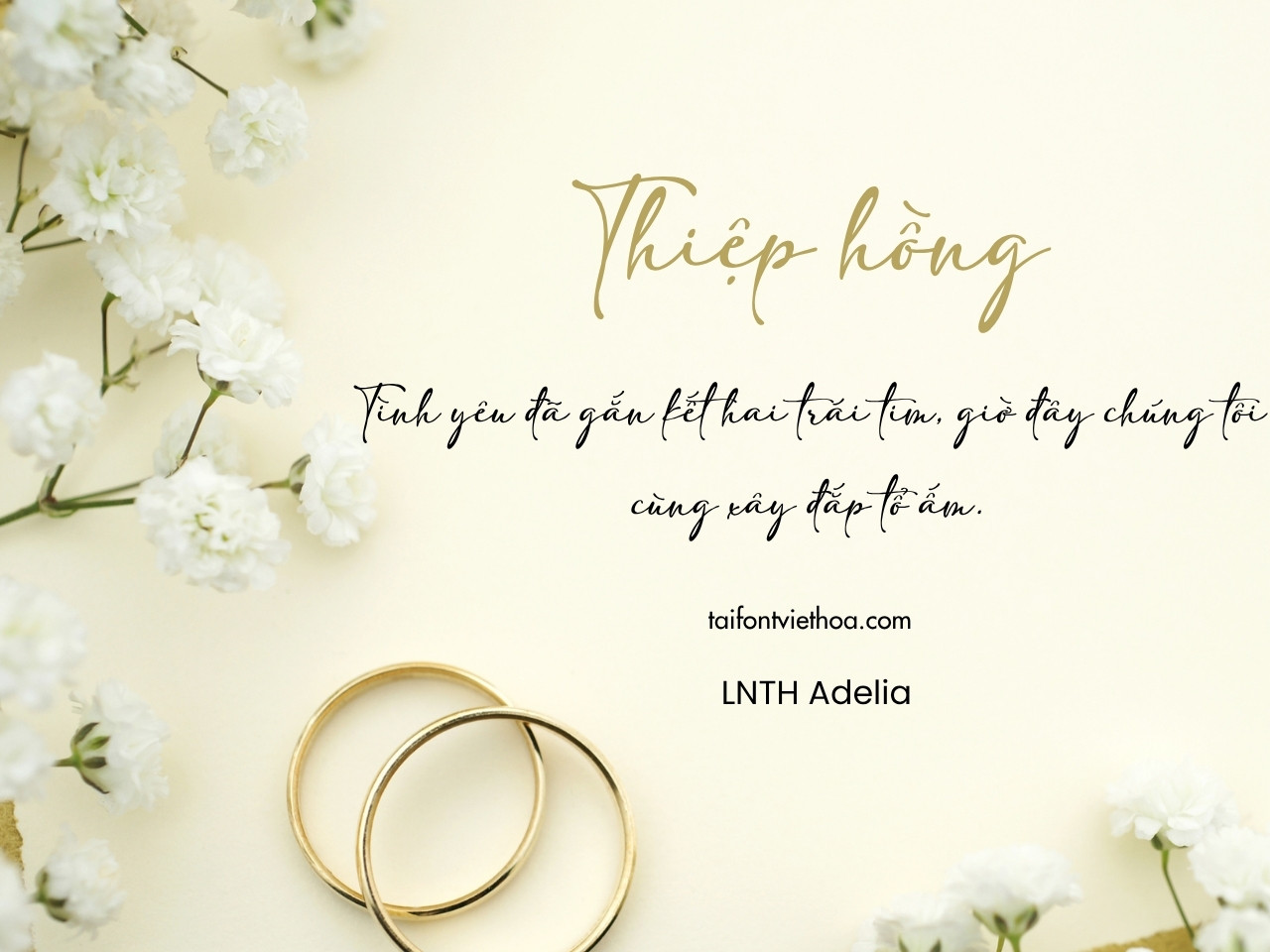 Giới thiệu về font Adelia