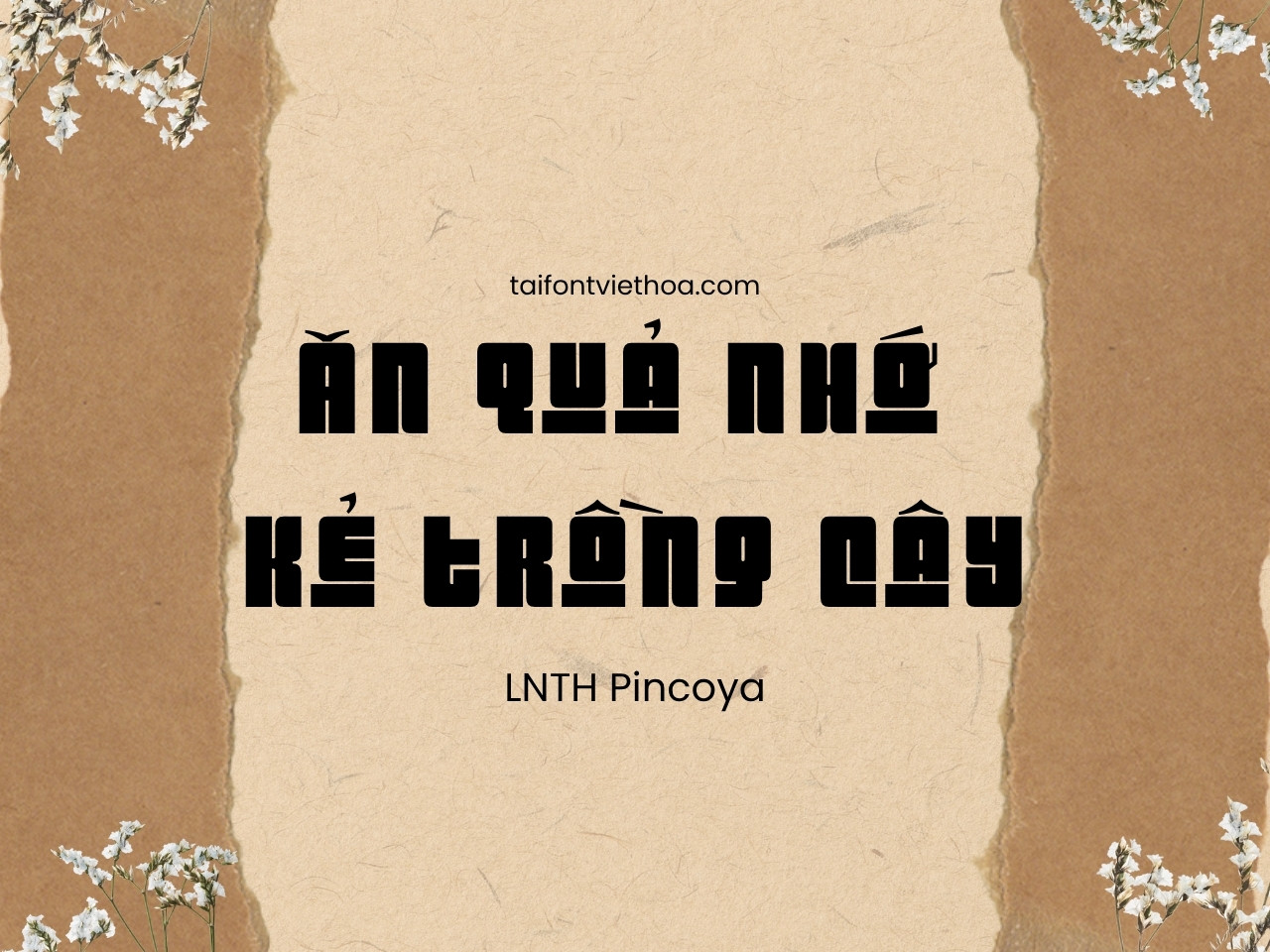 Giới thiệu về font LNTH Pincoya Black – Font chữ đậm chất hình khối, hiện đại và cá tính