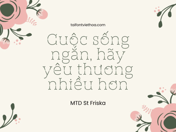 Font việt hóa MTD St Friska
