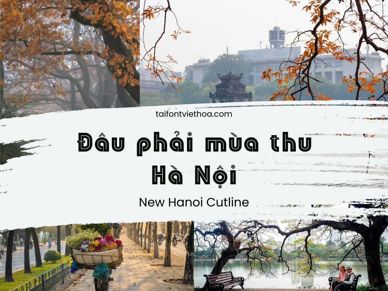 Font việt hóa New Hanoi Cutline Font Tiếng Việt