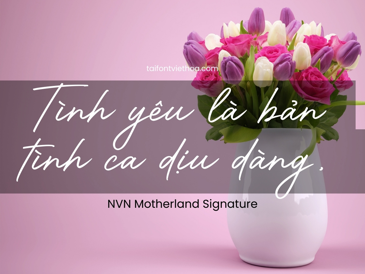Font việt hóa NVN Motherland Signature