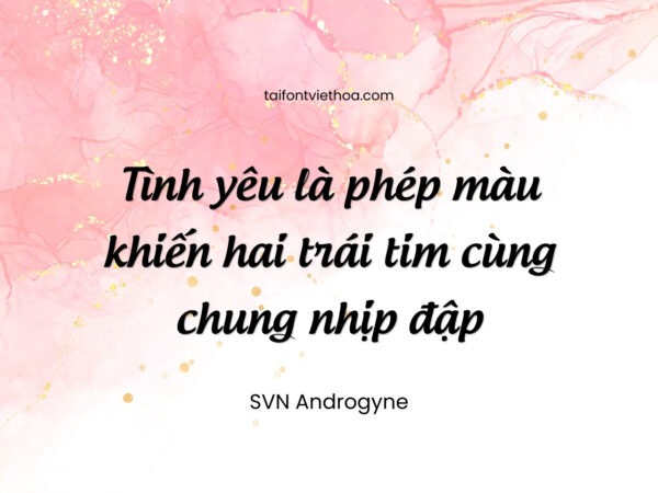 Font việt hóa SVN Androgyne