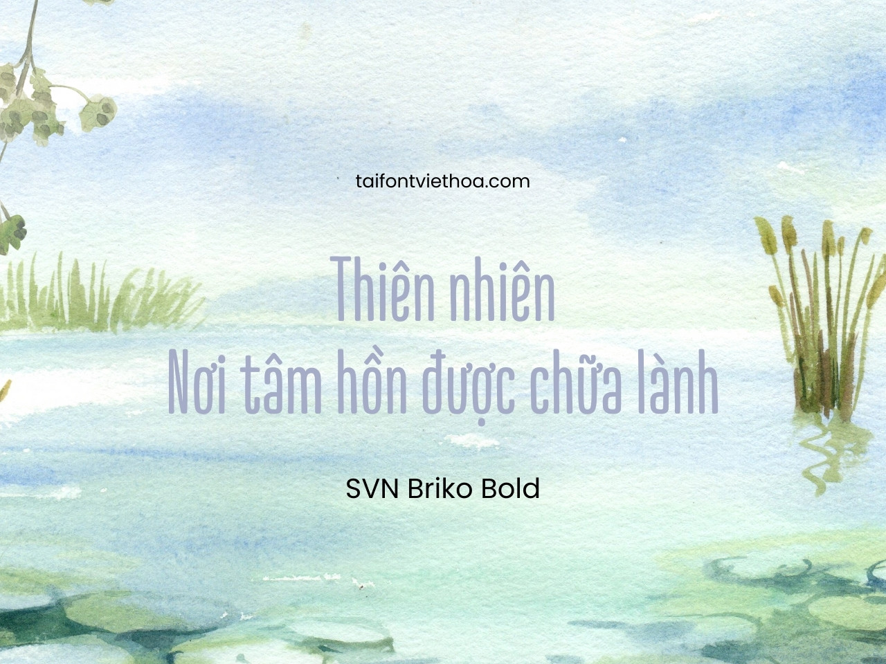 Font việt hóa SVN Briko Bold