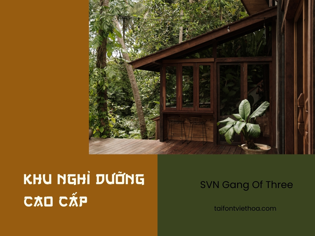 Font việt hóa SVN Gang Of Three