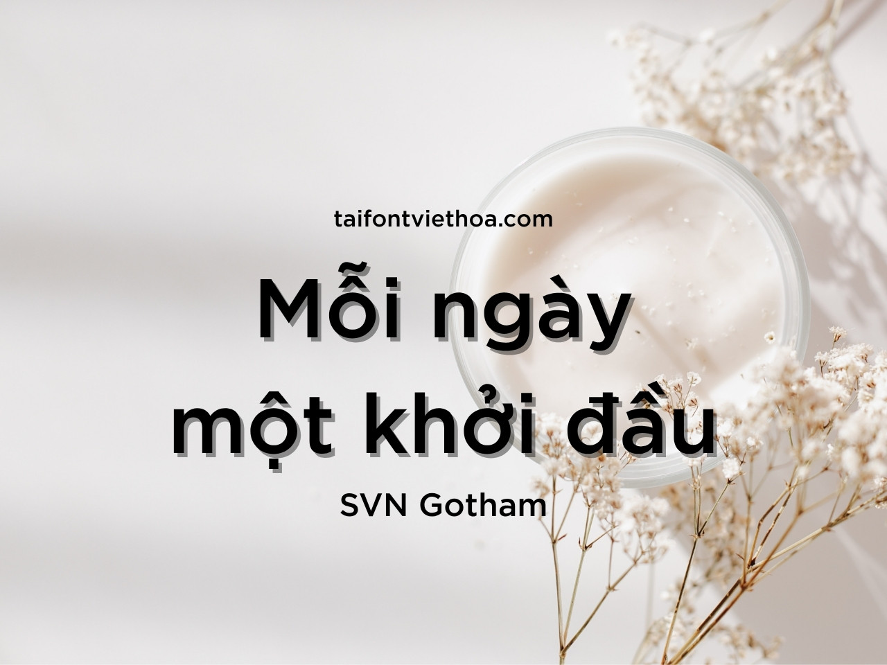 Font việt hóa SVN Gotham Sử Dụng Trong Logo TiKTok