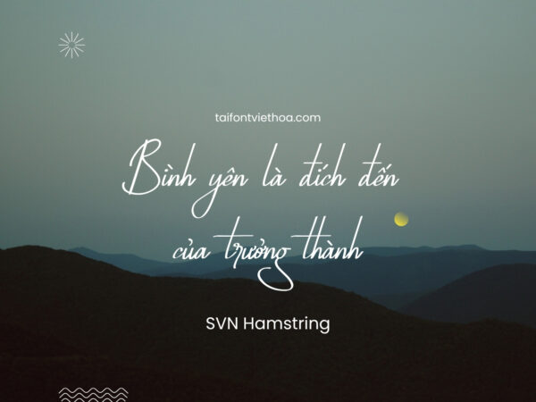 Font việt hóa SVN Hamstring