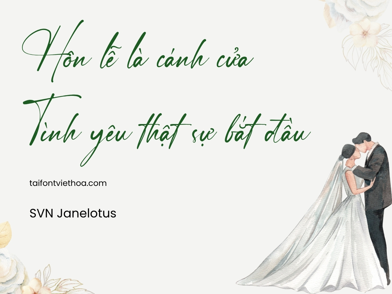 Font việt hóa SVN Janelotus