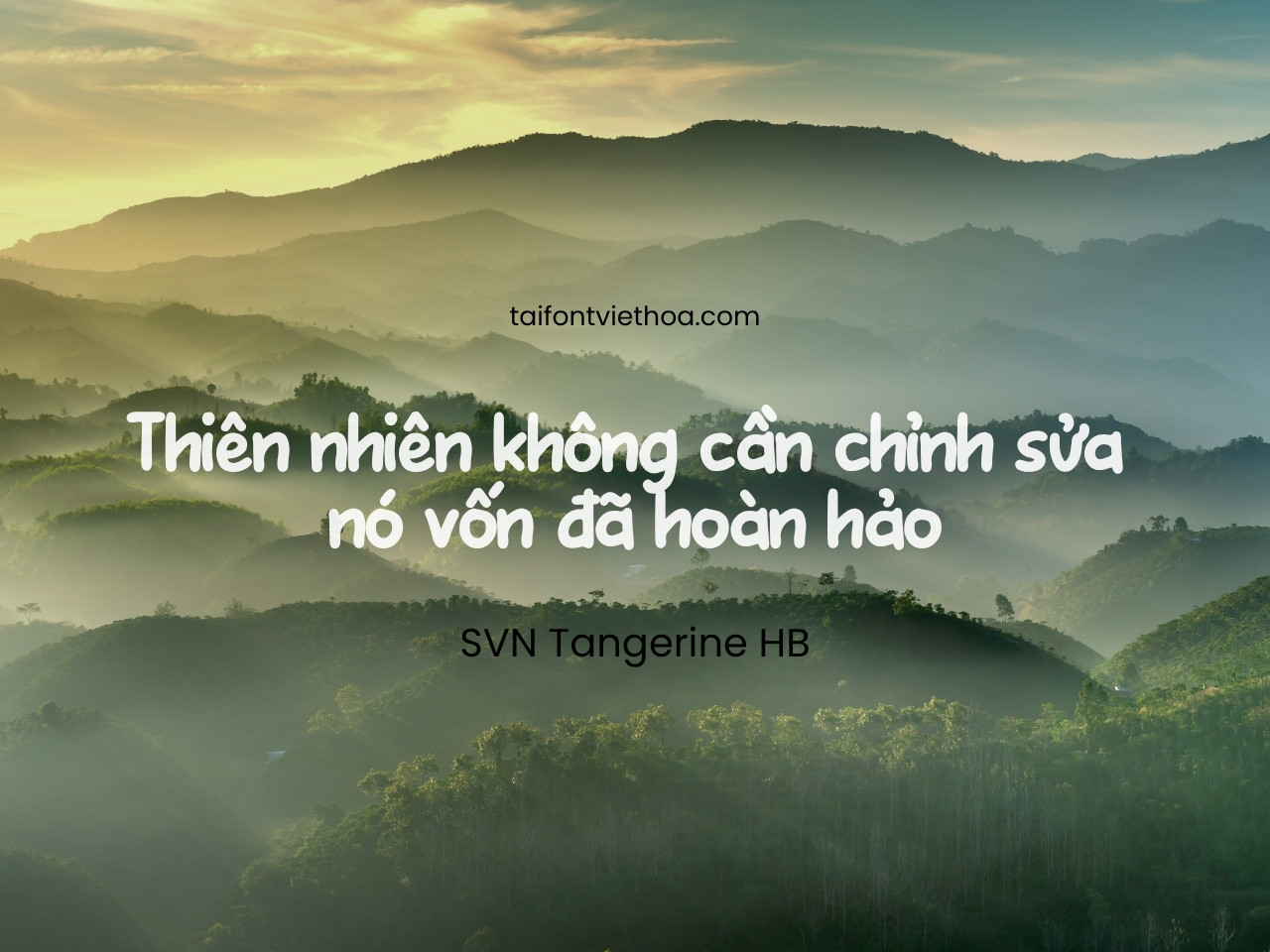 Giới thiệu về Tangerine Hb – Font calligraphy thanh lịch, cảm hứng cổ điển