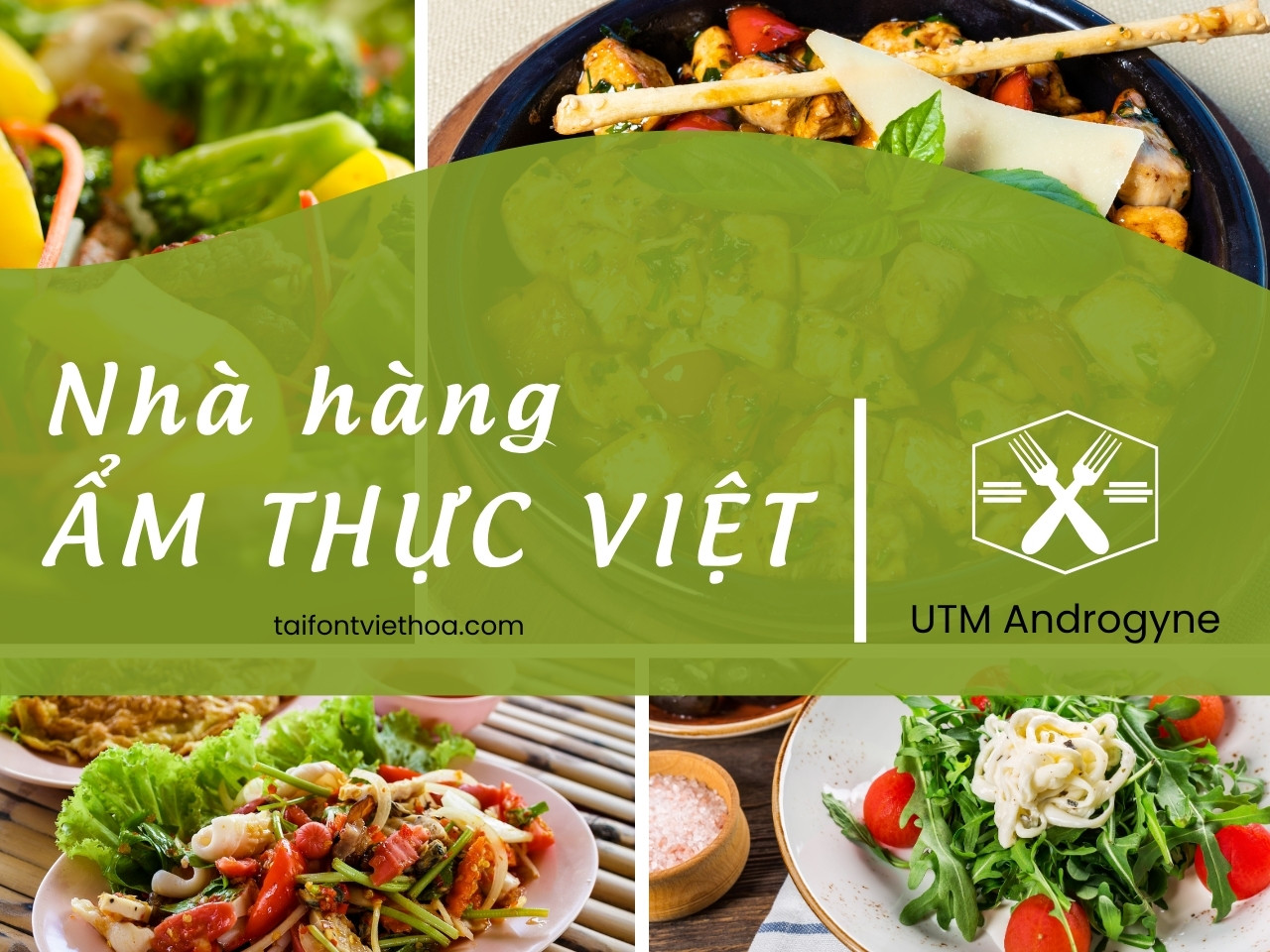 Font việt hóa UTM Androgyne
