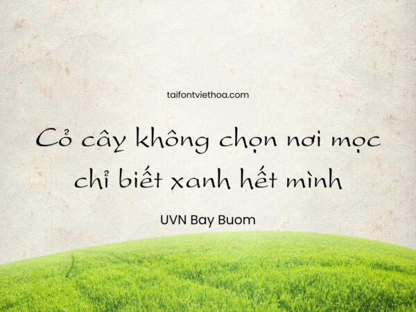 Font việt hóa UVN Bay Buom