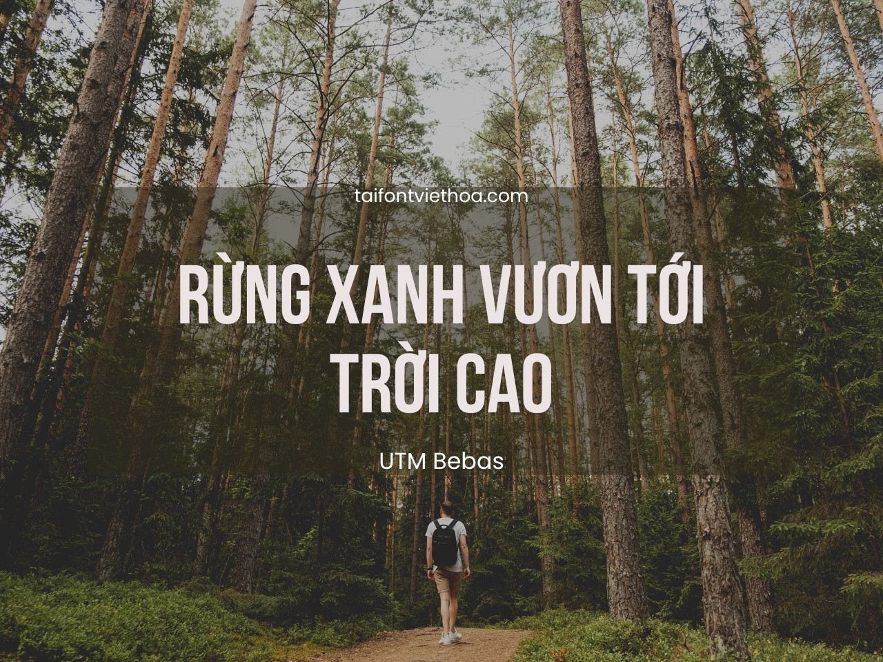 Giới thiệu về font UTM Bebas