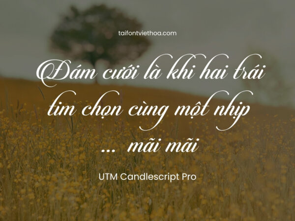 Font việt hóa UTM Candlescript Pro