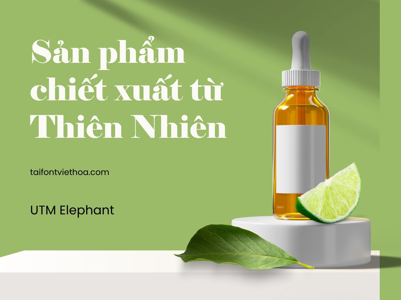 Font việt hóa UTM Elephant dùng cho quảng cáo