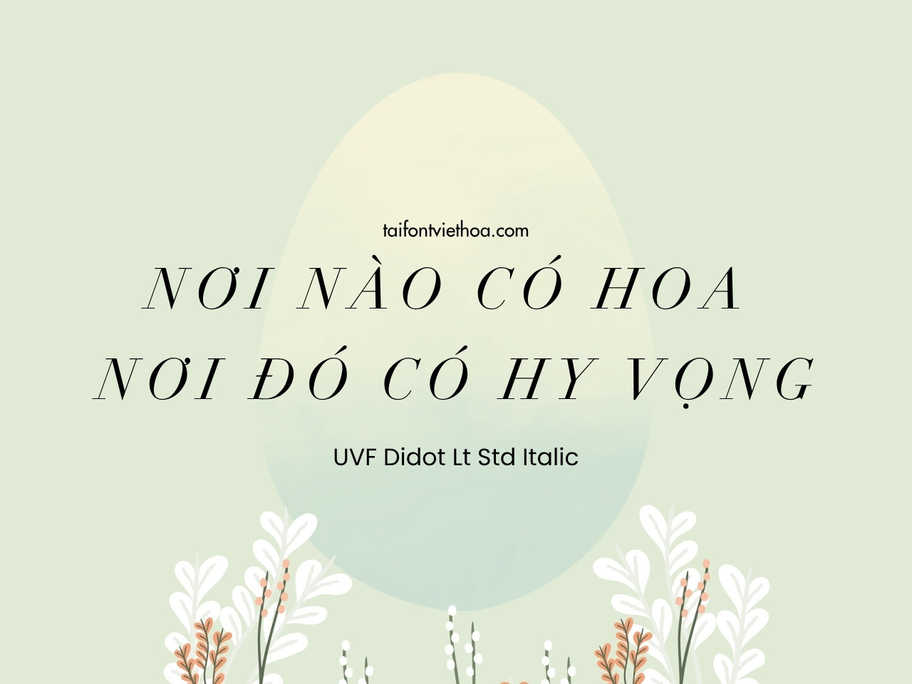 Giới thiệu về font UVF Didot Lt Std Italic