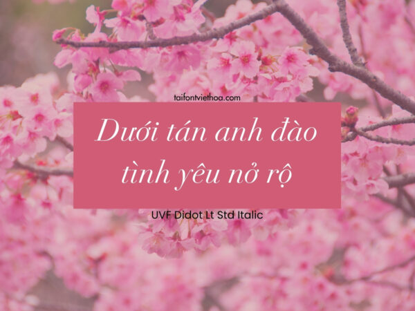 Font việt hóa UVF Didot Lt Std Italic