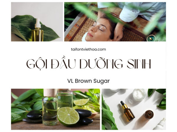Font việt hóa VL Brown Sugar