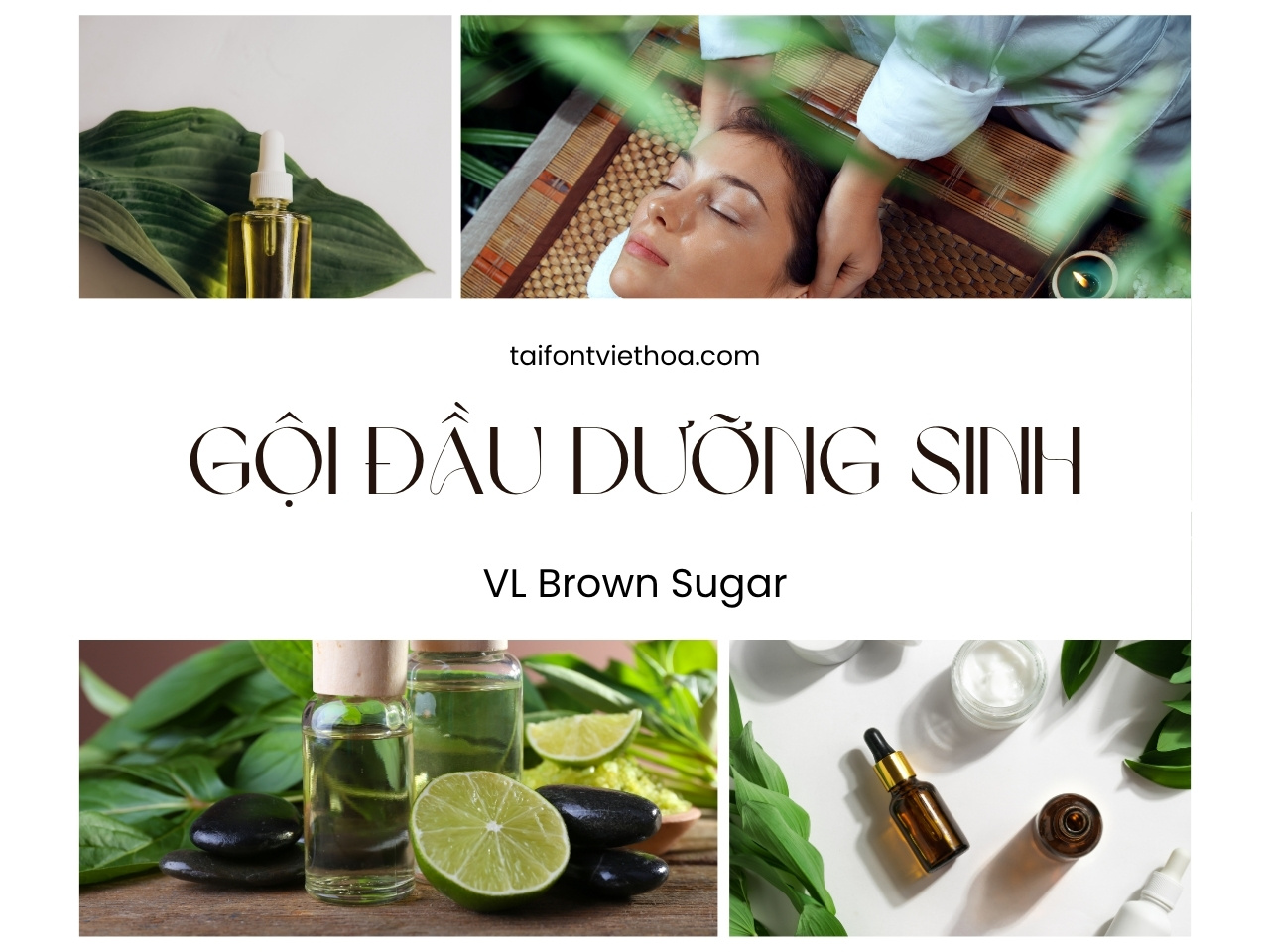 Font việt hóa VL Brown Sugar