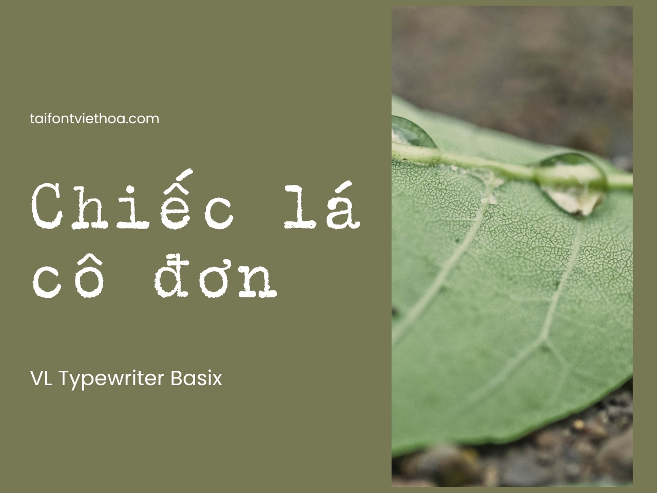 Font việt hóa VL Typewriter Basix đầy đủ