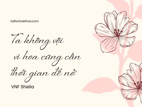 Font việt hóa Shelia