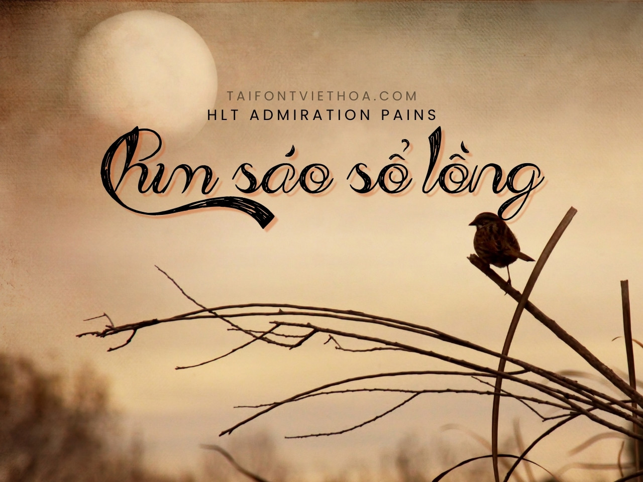 Font việt hóa HLT Admiration Pains