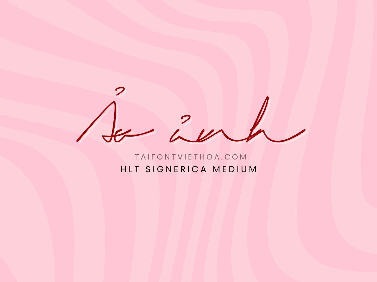 Font việt hóa HLT Signerica Medium