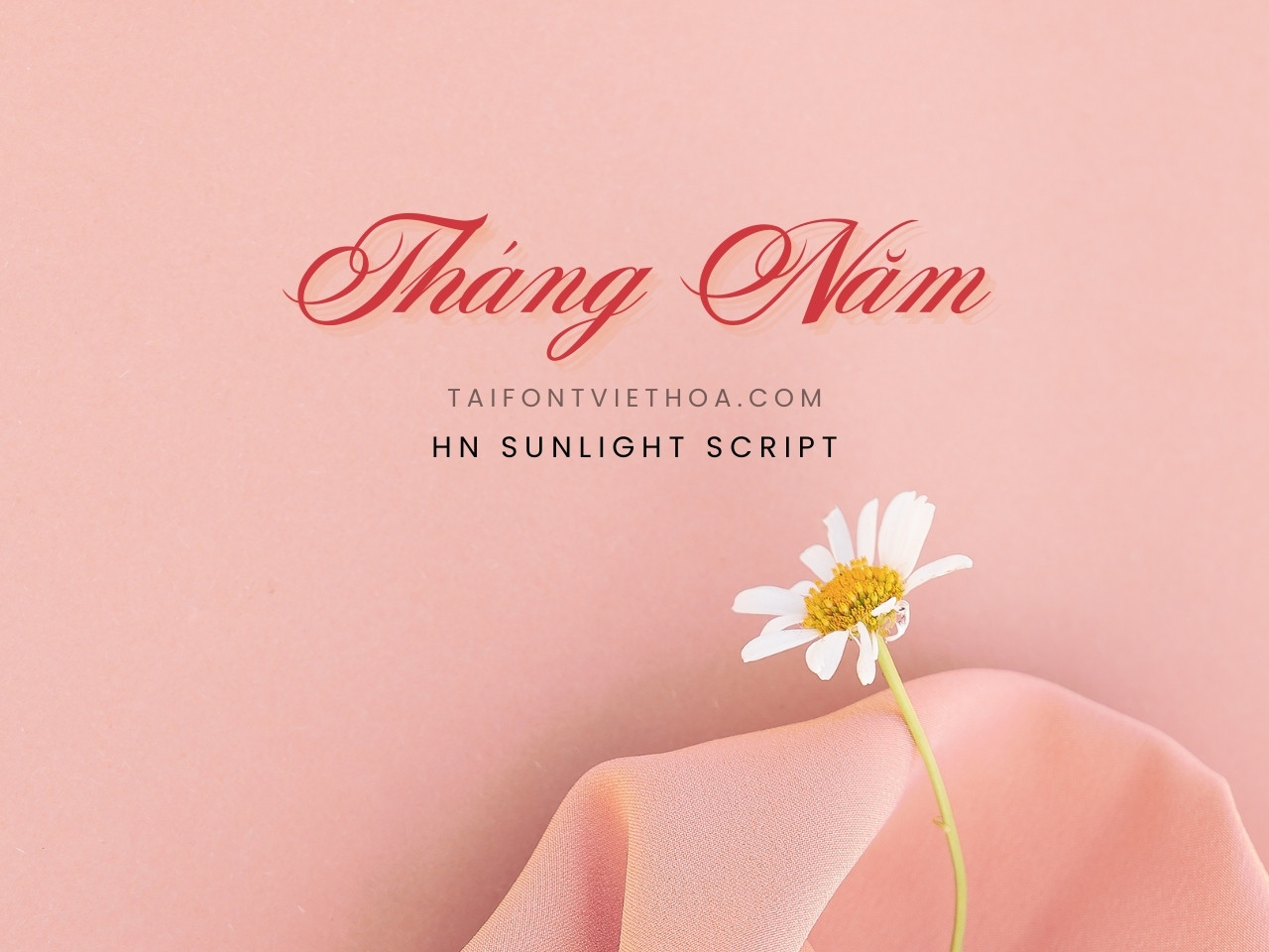 Font việt hóa Sunlight Script