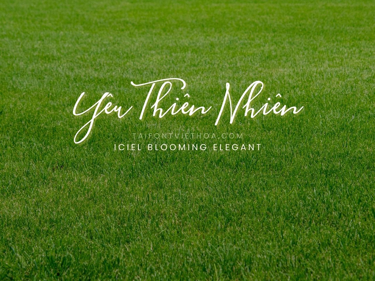 Font việt hóa iCiel Blooming Elegant đầy đủ