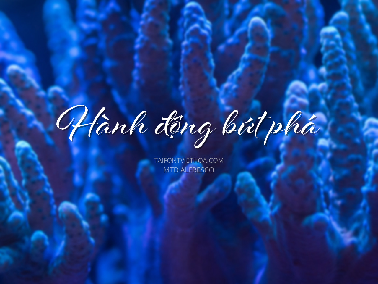 Font việt hóa MTD Aifresco