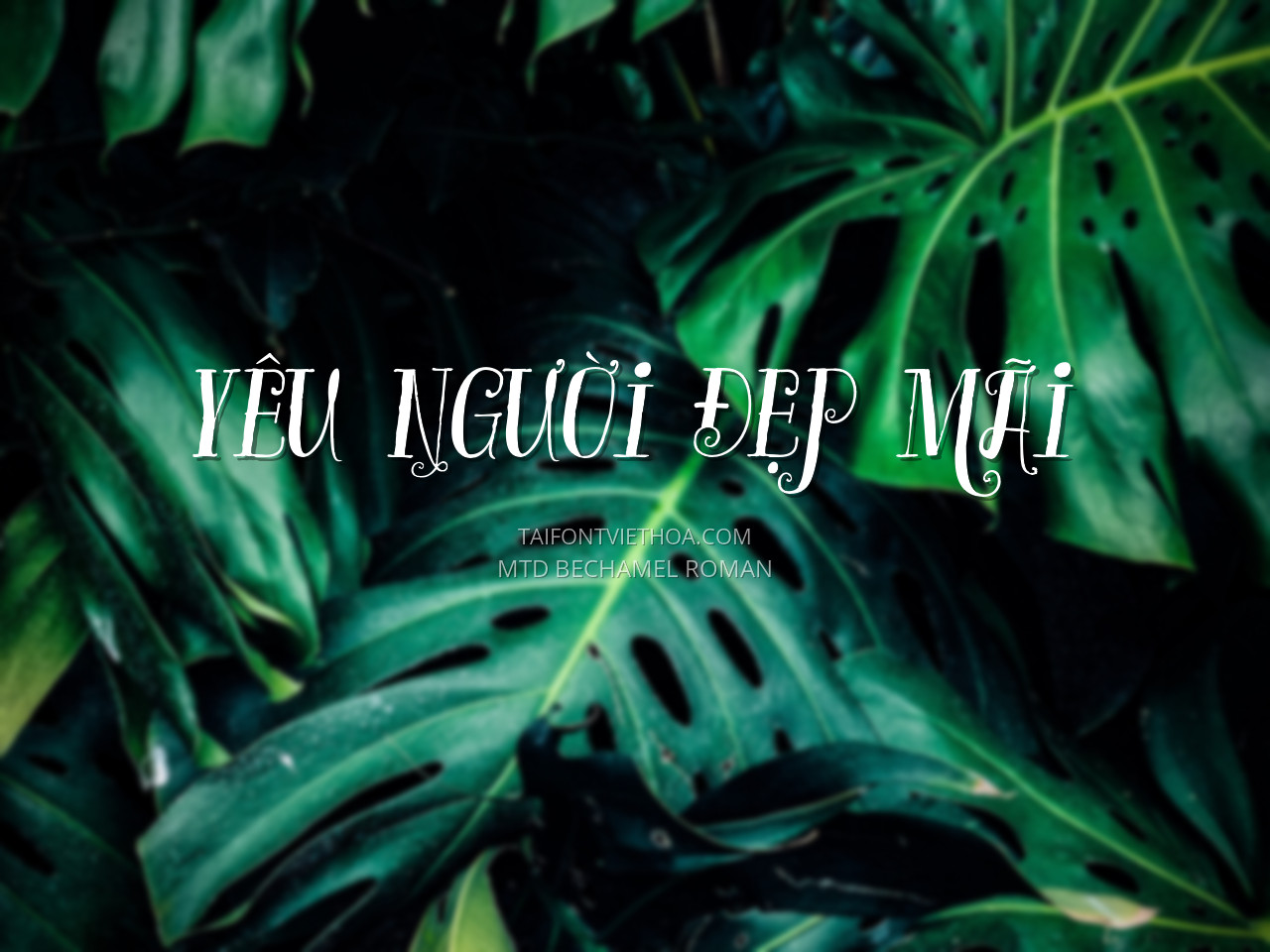 Font việt hóa MTD Bechamel Roman