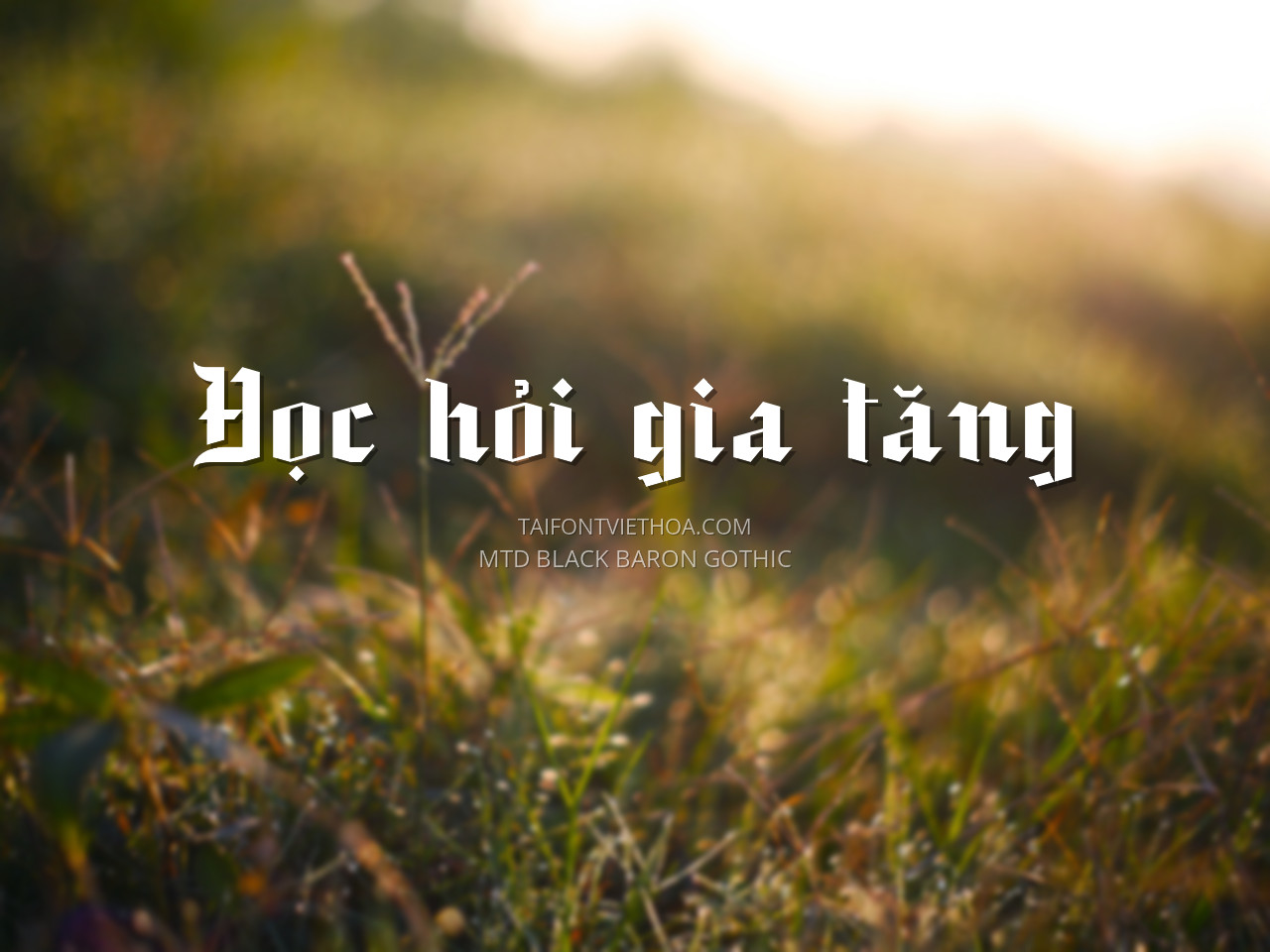 Font việt hóa MTD Black Baron Gothic
