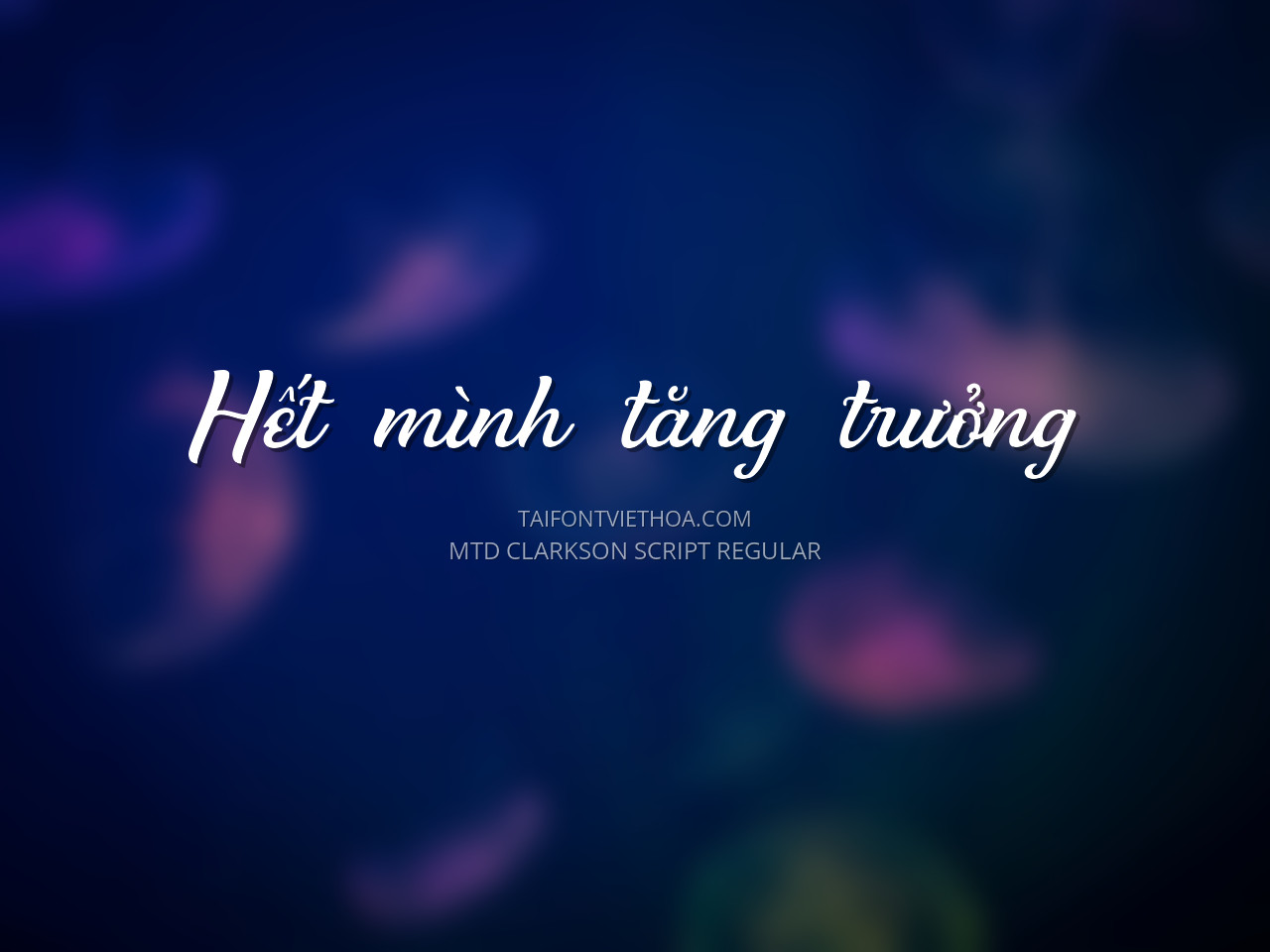Font việt hóa MTD Clarkson Script