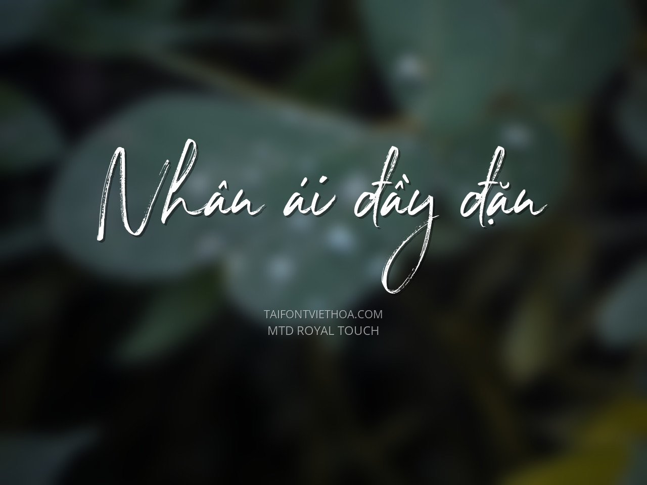 Font việt hóa MTD Royal Touch
