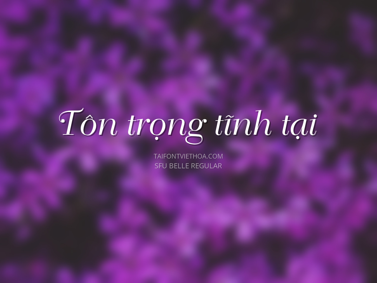 Font việt hóa SFU Belle