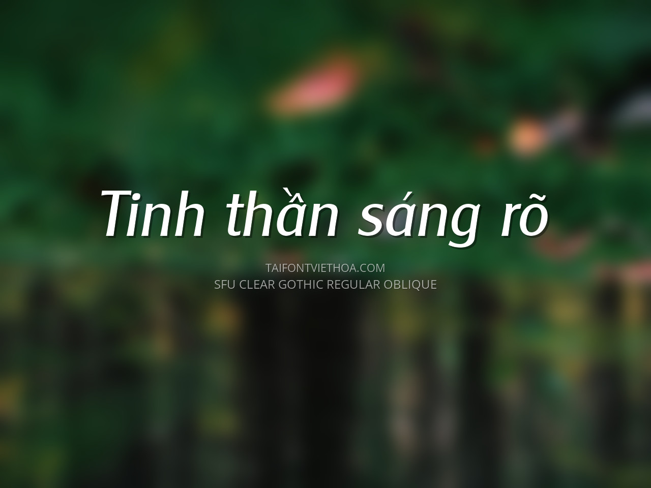 Font việt hóa SFU Cleargothic