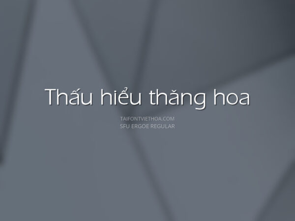 Font việt hóa SFU Ergoe