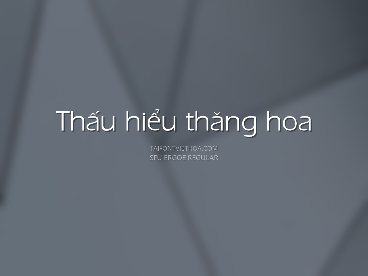 Font việt hóa SFU Ergoe