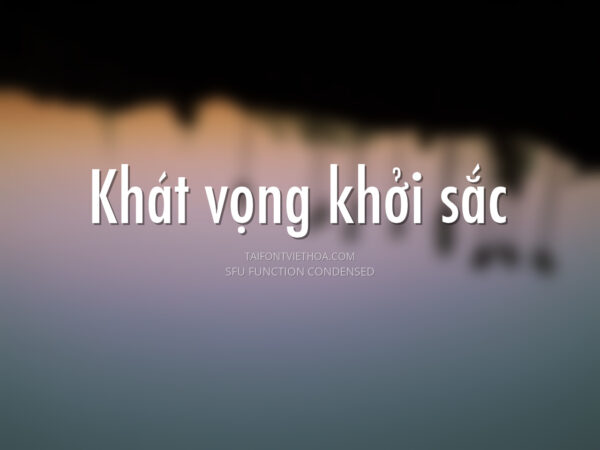 Font việt hóa SFU Function