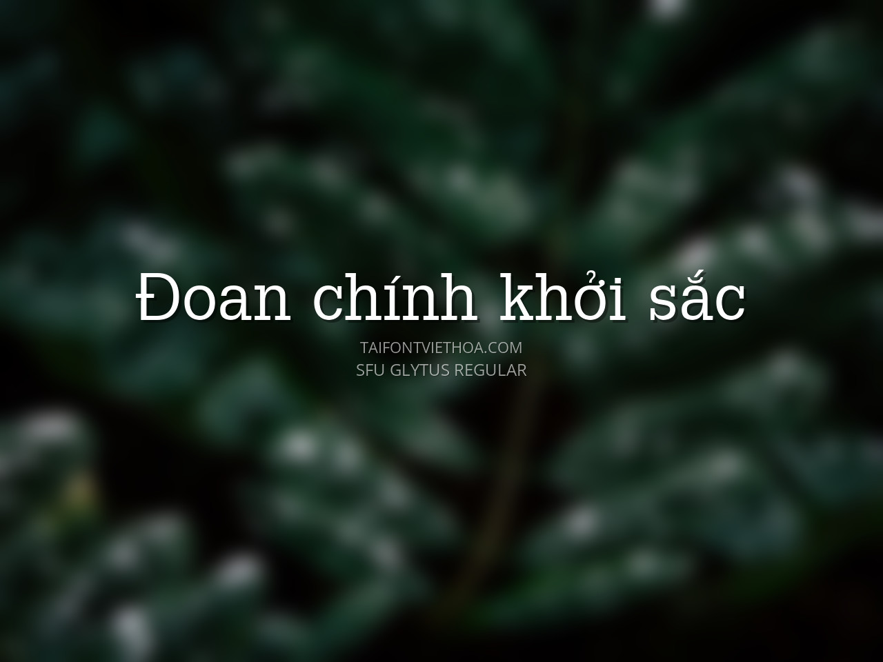 Font việt hóa SFU Glytus