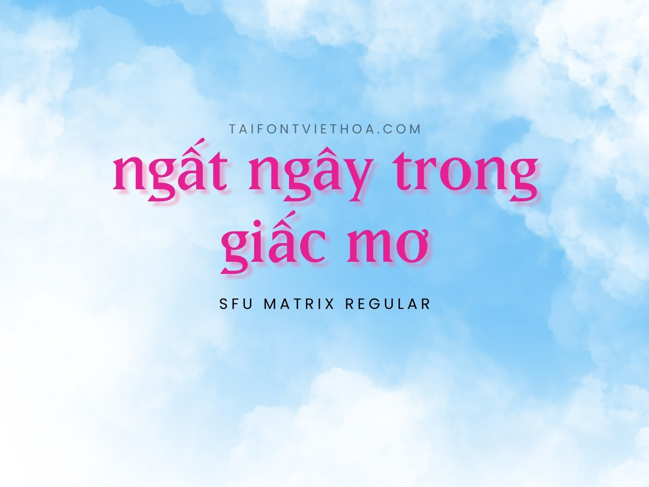 Font việt hóa SFU Matrix
