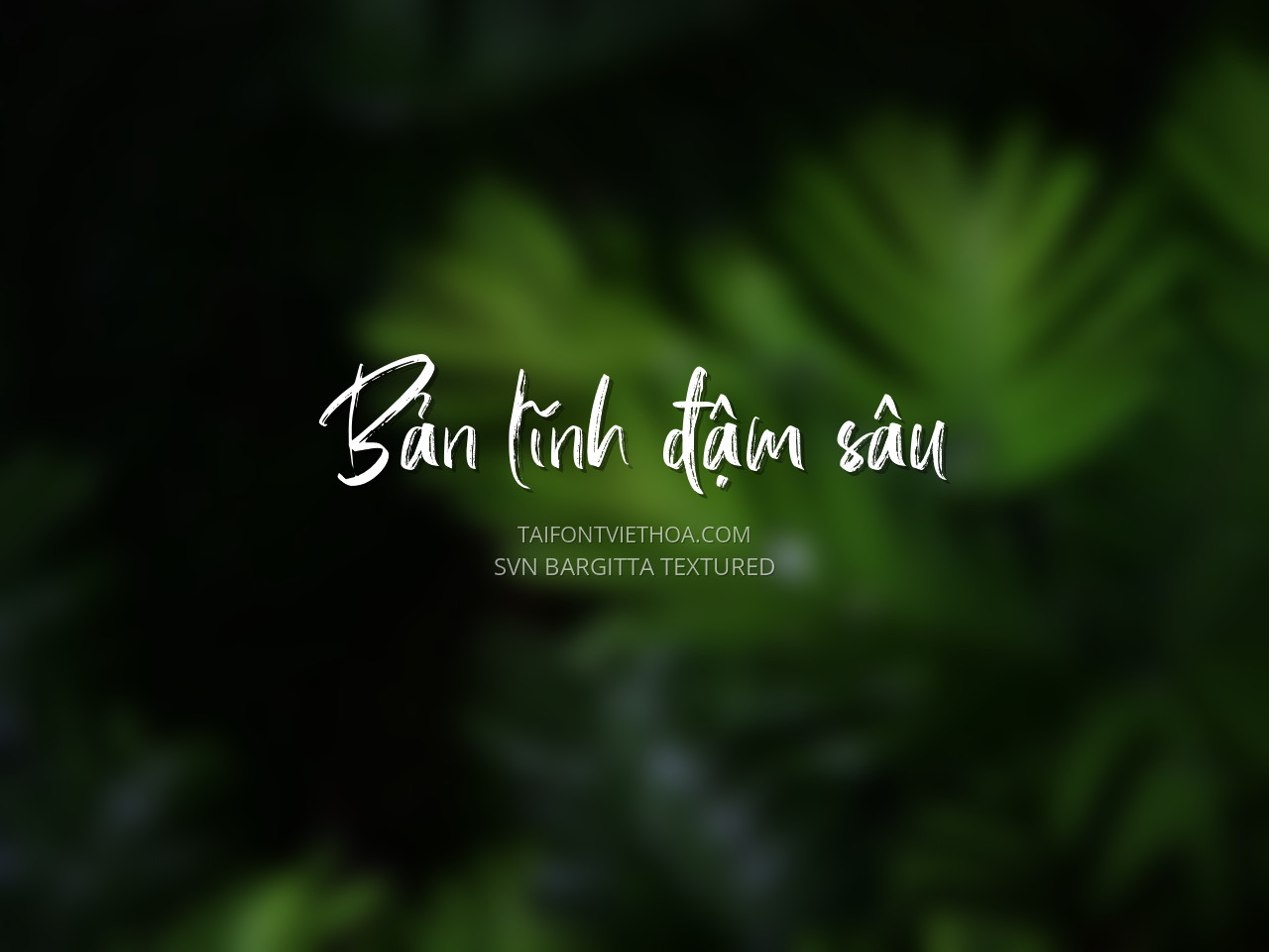 Font việt hóa SVN Bargitta Textured