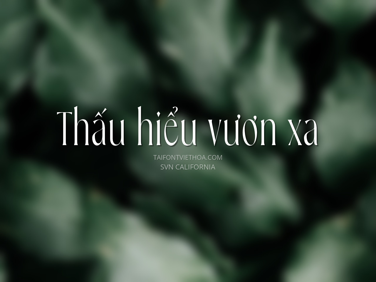 Font việt hóa SVN California