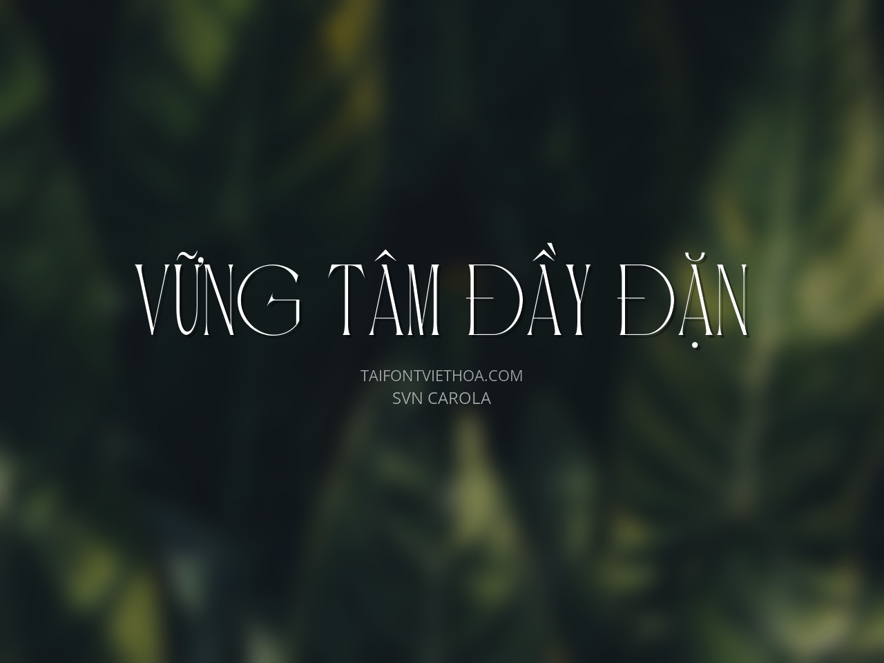 Font việt hóa SVN Calora